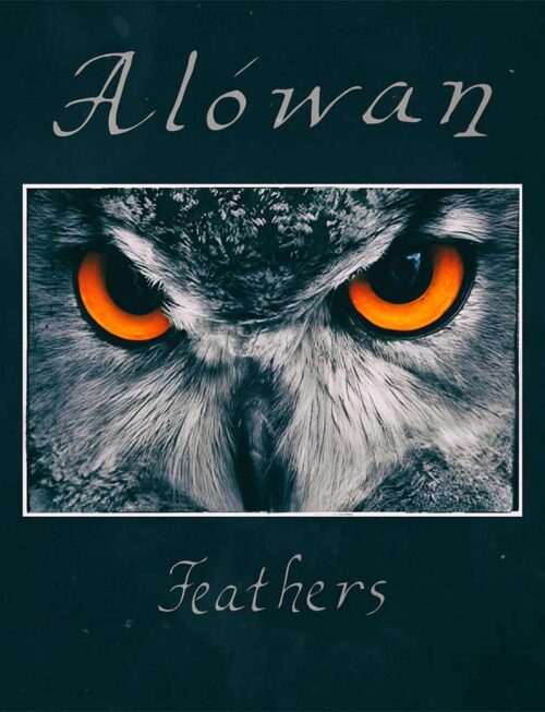 ALOWAN - FEATHERS Vinyl Record