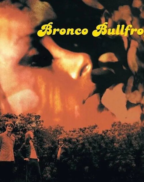 BRONCO BULLFROG - Bronco Bullfrog Vinyl Record