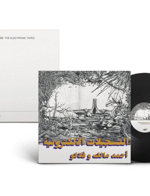 Ahmed Malik & Flako - The Electronic Tapes Vinyl Record