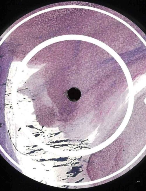 96 Back - 143 Connections Vinyl Record