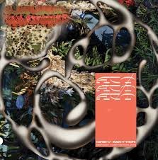 ACT! - GREY MATTER AR SNAPCHAT COMPOS Vinyl Record