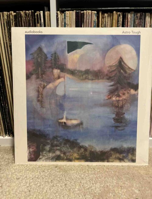 AUDIOBOOKS - ASTRO TOUGH Vinyl Record