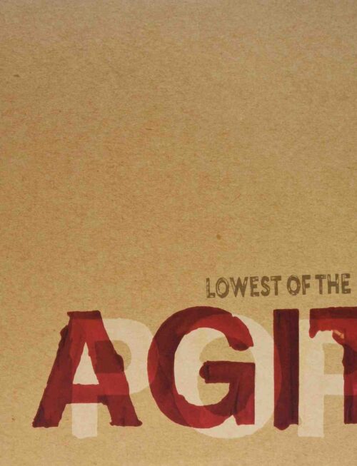 LOWEST OF THE LOW - AGITPOP (2LP) Vinyl Record