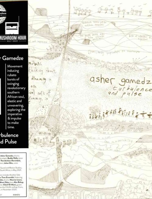 ASHER GAMEDZE - Turbulence & Pulse Vinyl Record