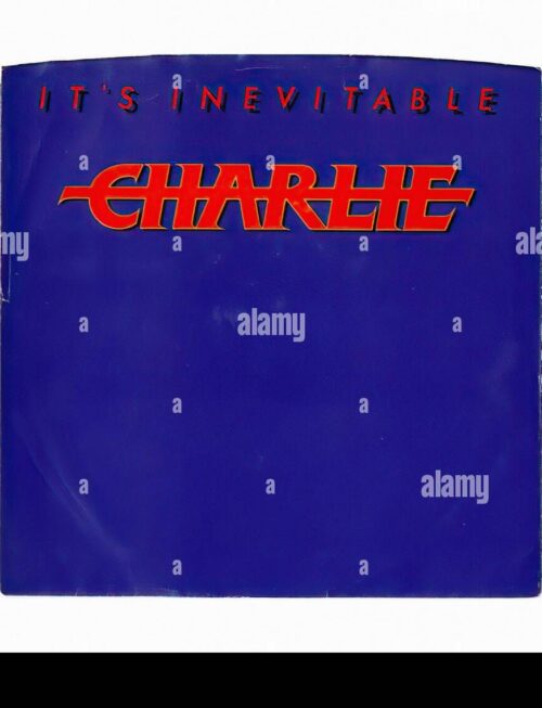 CHARLIE CHARLIE - Litte Things Vinyl Record