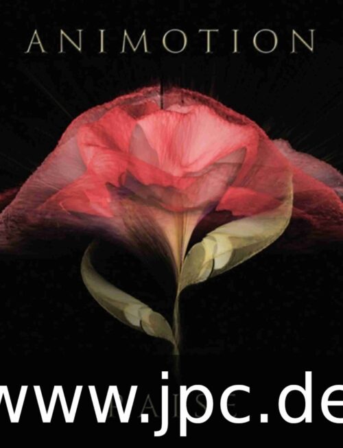 ANIMOTION - RAISE YOUR EXPECTATIONS Vinyl Record