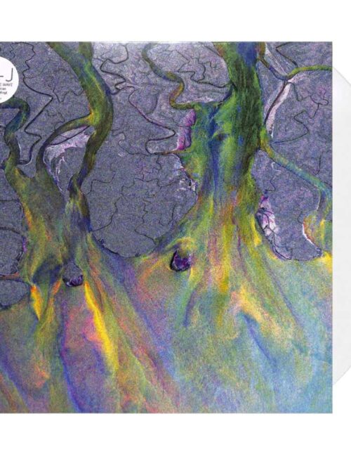 alt-J - An Awesome Wave Vinyl Record