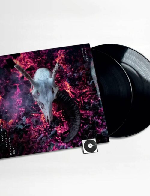 COLIN STETSON - THE LOVE IT TOOK TO LEAVE YOU Vinyl Record