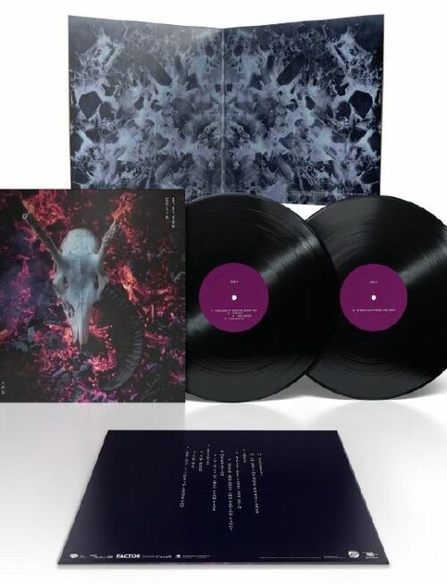 COLIN STETSON - THE LOVE IT TOOK TO LEAVE YOU (BLACK & WHITE) Vinyl Record