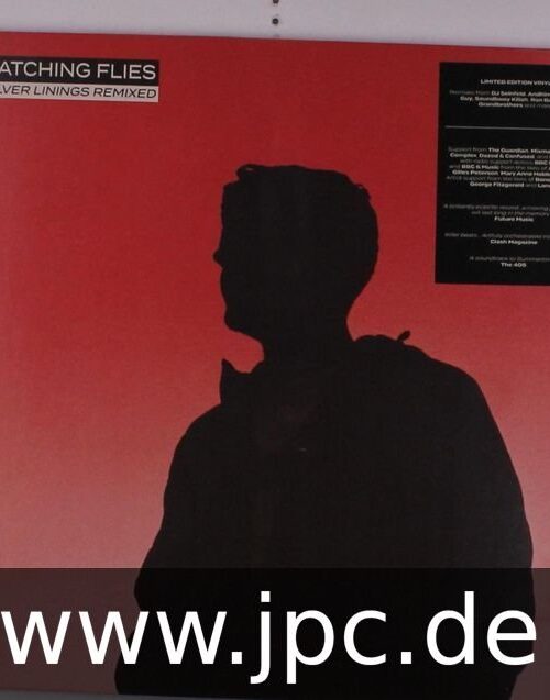 Catching Flies - Silver Linings Remixed Vinyl Record