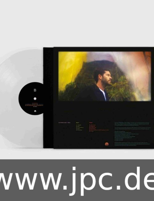 Catching Flies - Tides Vinyl Record