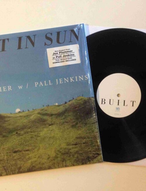BUILT IN SUN - BUILT IN SUN Vinyl Record