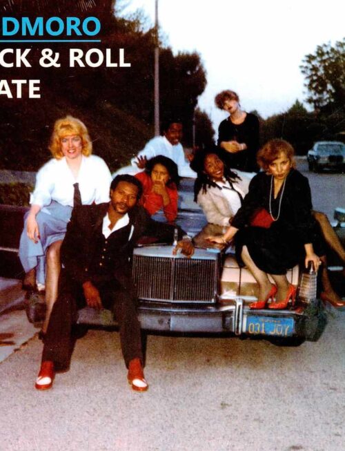 ADDMORO - Rock & Roll Skate Vinyl Record