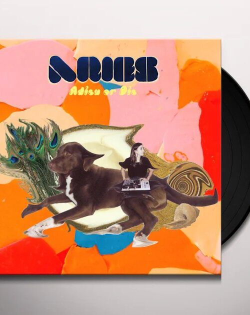 ARIES - ADIEU OR DIE Vinyl Record