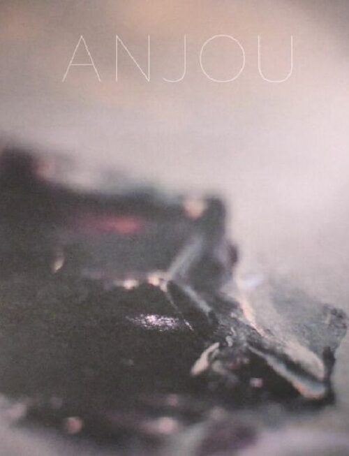 ANJOU - EPITHYMIA Vinyl Record