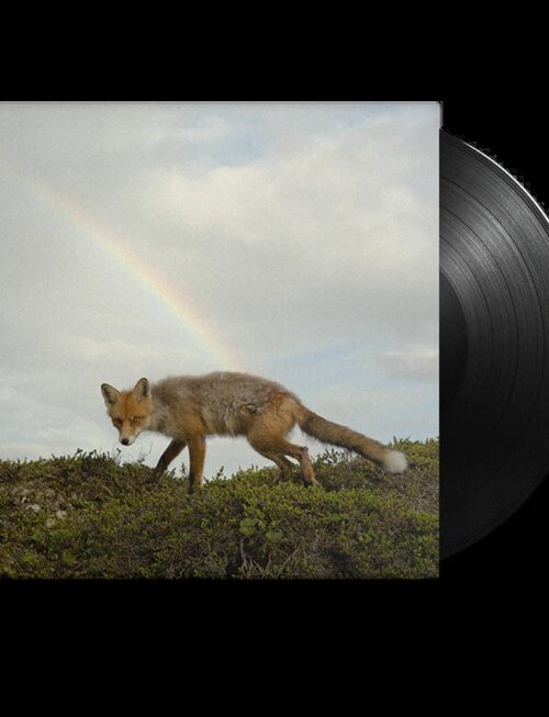 BUCK MEEK - BUCK MEEK Vinyl Record