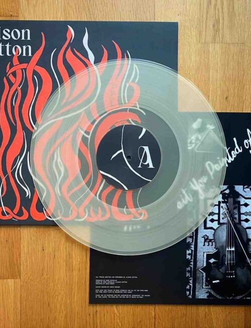 ALISON COTTON - THE PORTRAIT YOU PAINTED OF ME Vinyl Record