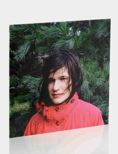 ADRIANNE LENKER - HOURS WERE THE BIRDS Vinyl Record