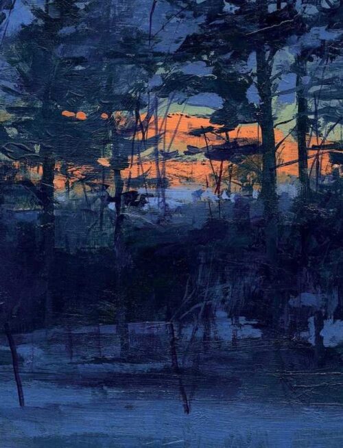 ANIMAL LOVER - DELETED - GUILT (COLOR) Vinyl Record