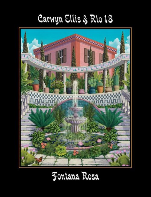 Carwyn Ellis & Rio 18 - Fontana Rosa Vinyl Record