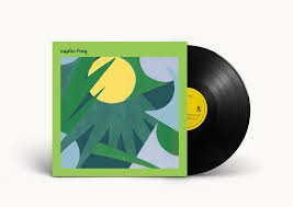 CEPTIC FROG - CEPTIC FROG Vinyl Record