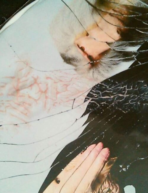 Anklepants - SPEEK YOU LITTLE RE-?íac?©?© Vinyl Record