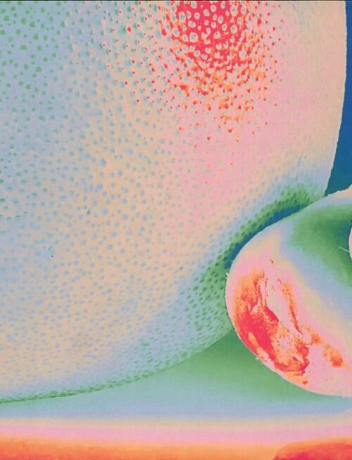 CITRUS CITRUS - ALBEDO MASSIMA Vinyl Record