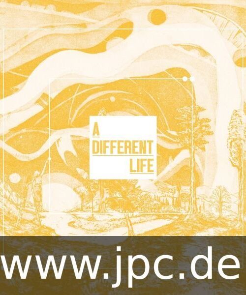 CATT - A DIFFERENT LIFE Vinyl Record