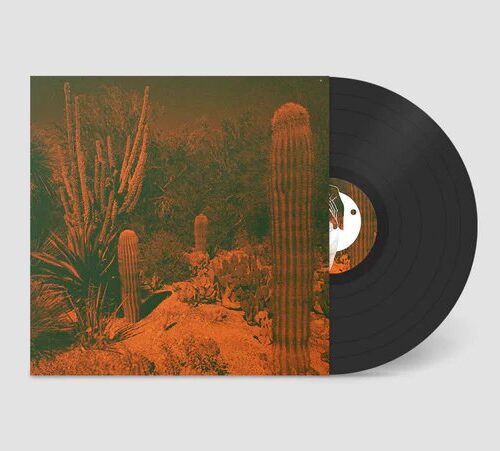 CAMERON KNOWLER & ELI WINTER - Anticipation Vinyl Record