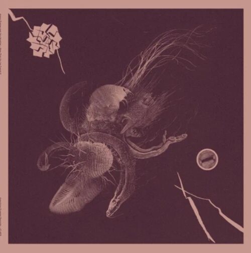 AARON TURNER & JON MUELLER - Now That Youve Found It Vinyl Record