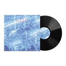 12 RODS - If We Stayed Alive Vinyl Record