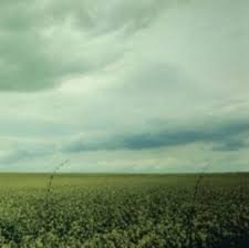 ANTARCTICA - 23:03 (Coke Bottle Clear Vinyl) Vinyl Record