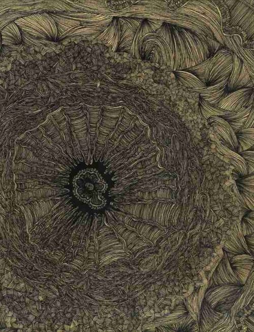 BOOKWORMS - Appropriation Loops (A Love Story) Vinyl Record