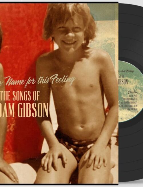 ADAM GIBSON - The Songs Of Adam Gibson Vinyl Record