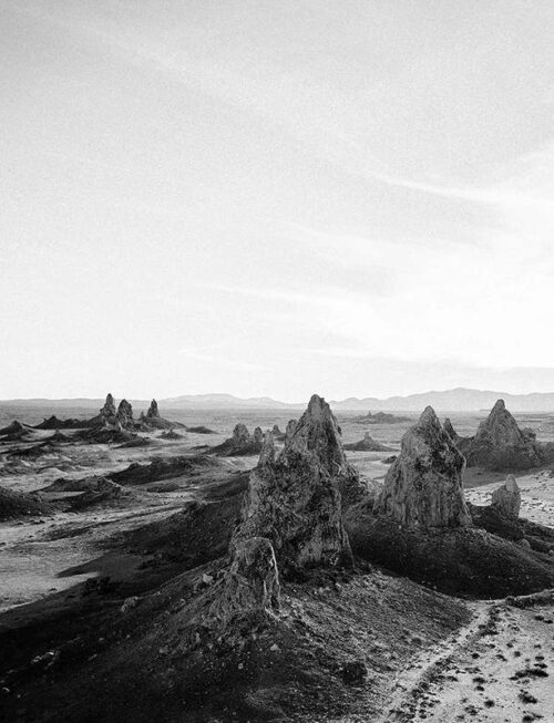 LTO - Daear Vinyl Record