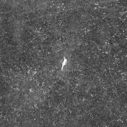 BIRDS OF PASSAGE - The Last Garden Vinyl Record