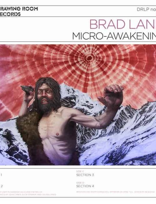 BRAD LANER - Micro-Awakenings Vinyl Record