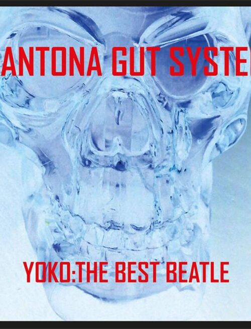 CANTONA GUT SYSTEM - Yoko: The Best Beatle Vinyl Record