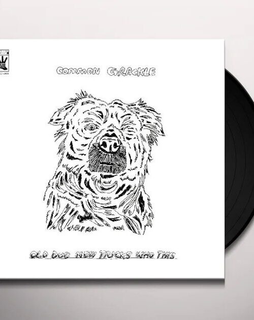 COMMON GRACKLE - Old Dog New Tricks Who This Vinyl Record