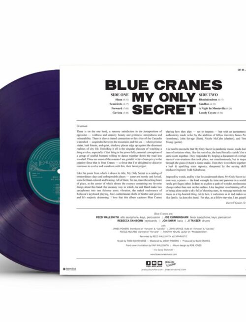 BLUE CRANES - My Only Secret (Dark Purple Vinyl) Vinyl Record