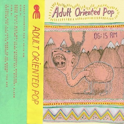 ADULT ORIENTED POP - 31/12/1899 06:15:00 Vinyl Record
