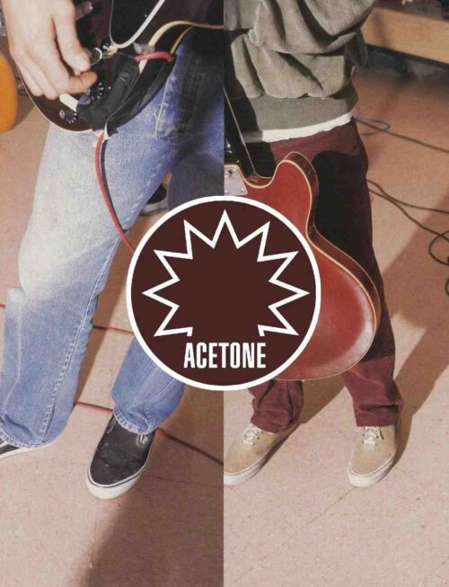 ACETONE - Acetone Vinyl Record