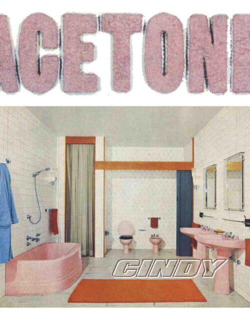 ACETONE - Cindy Vinyl Record