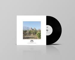 BERKE CAN OZCAN / ARVE HENRIKSEN / JONAH PARZEN-JOHNSON - Twin Rocks Vinyl Record