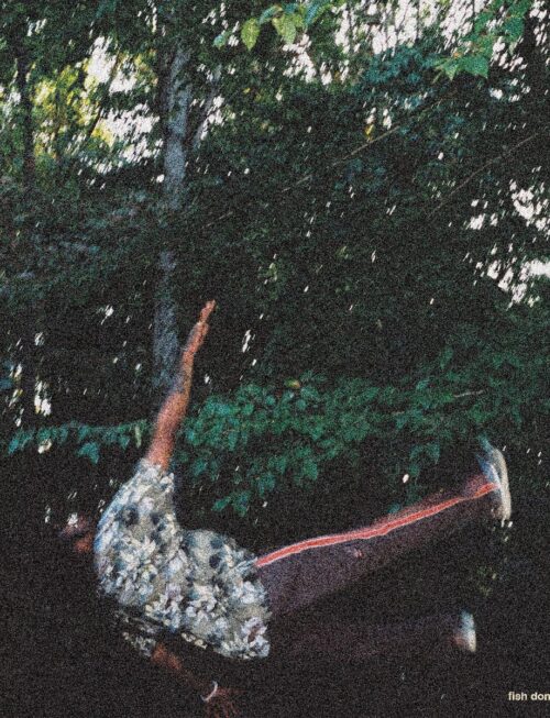 CHESTER WATSON - Fish Dont Climb Trees Vinyl Record