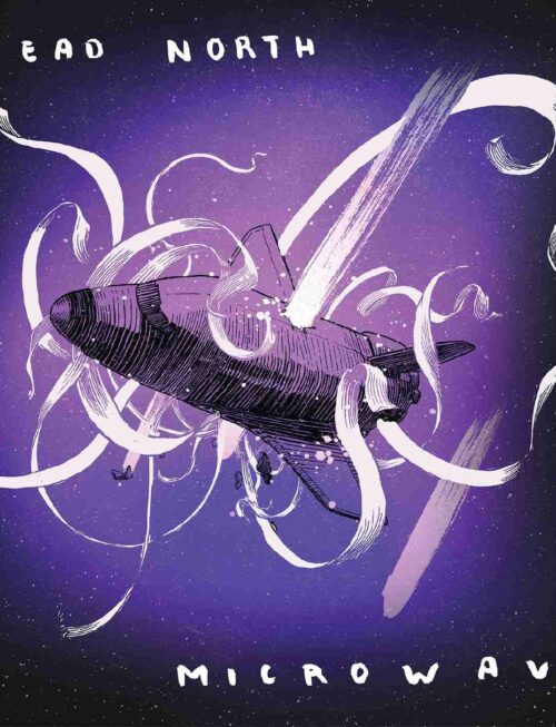 HEAD NORTH / MICROWAVE - Split (White/Purple Splatter Vinyl) Vinyl Record