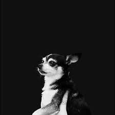 AND THE KIDS - When This Life Is Over Vinyl Record