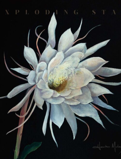 HEATHER MALONEY - Exploding Star Vinyl Record