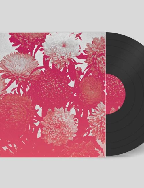 AMELIA COURTHOUSE - Broken Things Vinyl Record