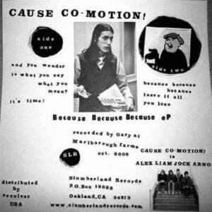 CAUSE CO-MOTION! - Because Because Because Vinyl Record